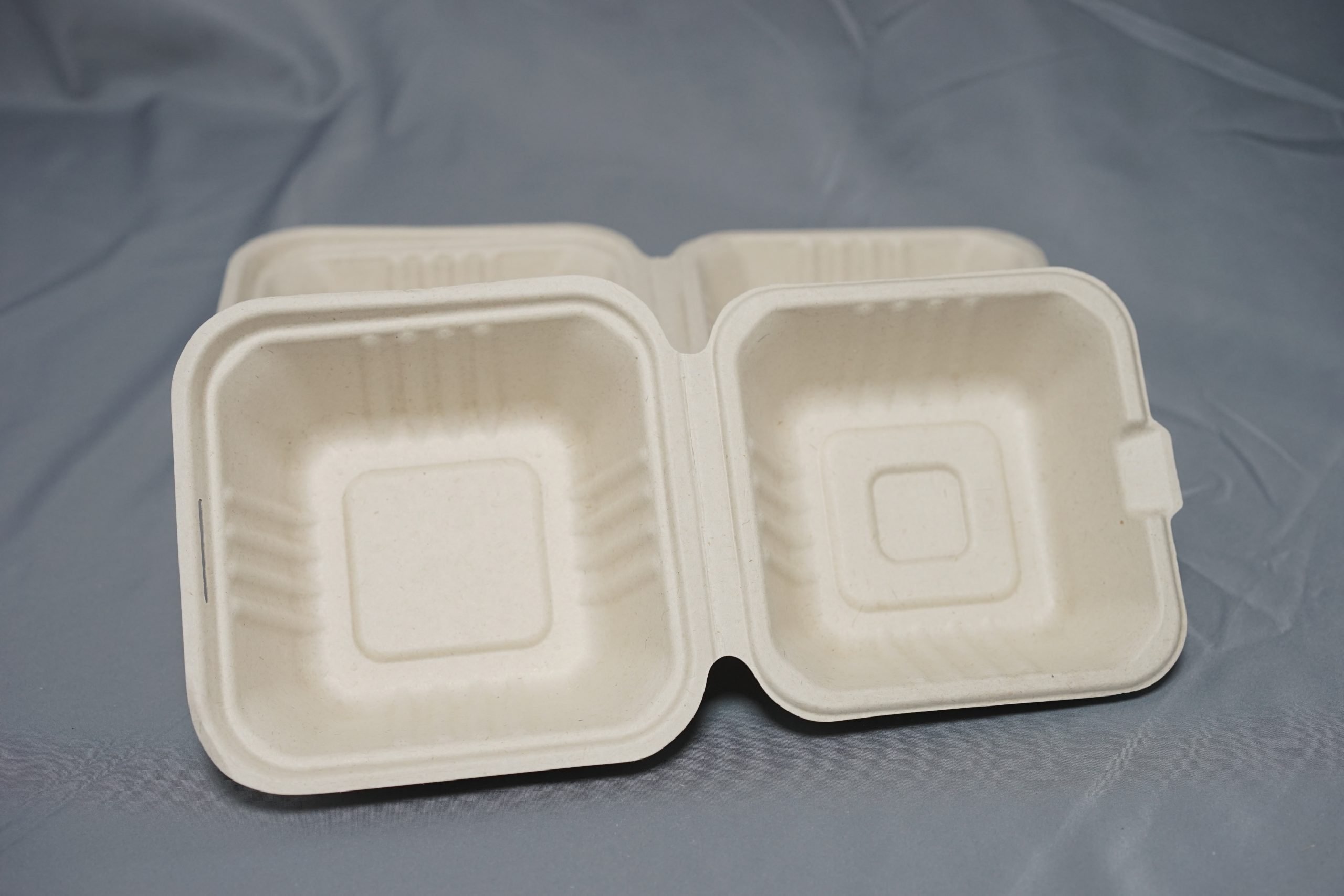 Biodegradable Sugarcane Bagasse Pulp Tableware – Xuntang Technology ...